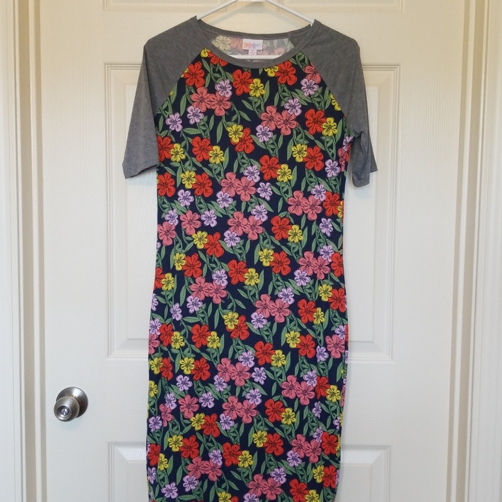 NWOT Lularoe Julia dress